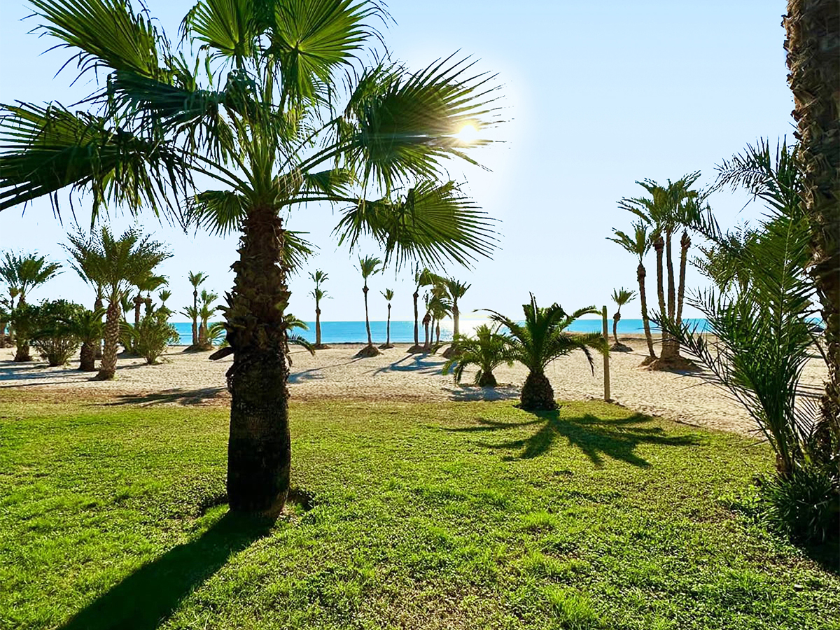 Hier können Sie das Hotel Palm Azur ab 477 € buchen Palm Azur – Hotelfoto