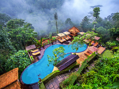 Nandini Jungle by Hanging Gardens