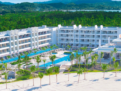 Princess Senses the Mangrove