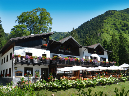 Chalet Hotel Rifugio Al Faggio