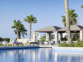 Aldemar Royal Mare